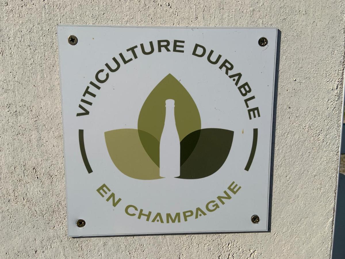 Champagne & Grand Cru Appartement Ay-Champagne