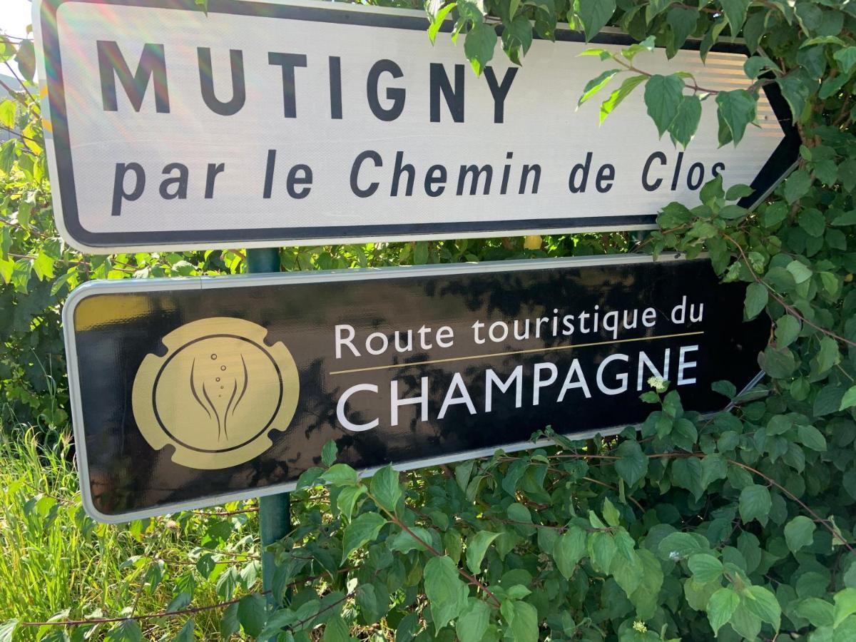 Champagne & Grand Cru Ay-Champagne