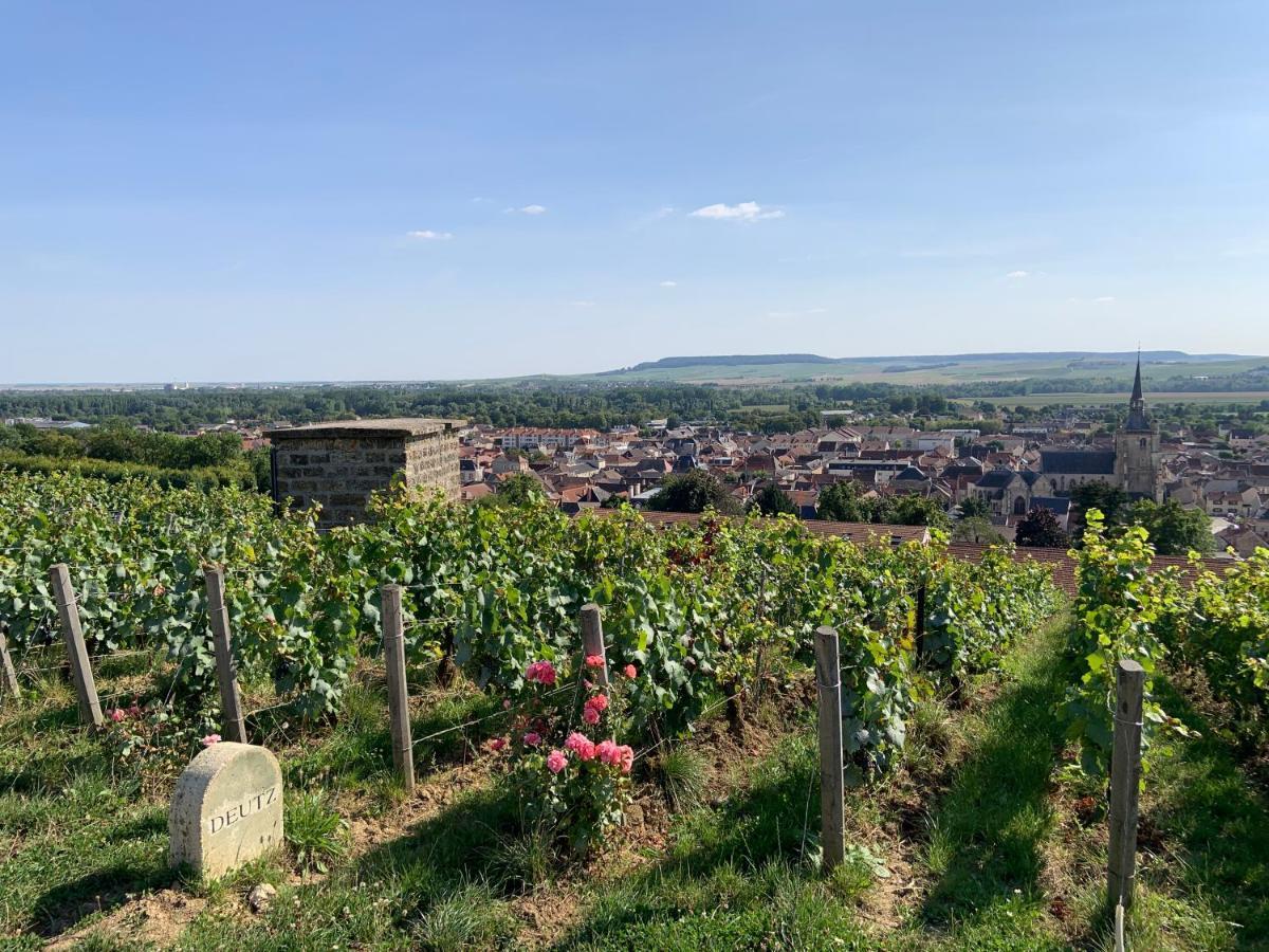 Appartement Champagne & Grand Cru